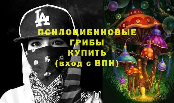 PSILOCYBIN Володарск