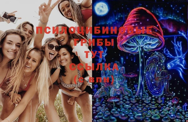 спайс Волоколамск