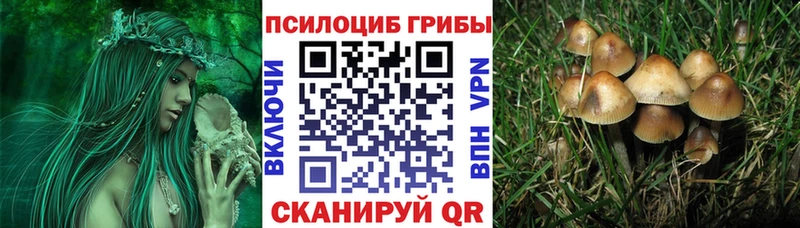 Галлюциногенные грибы прущие грибы  Купить где  Аркадак 